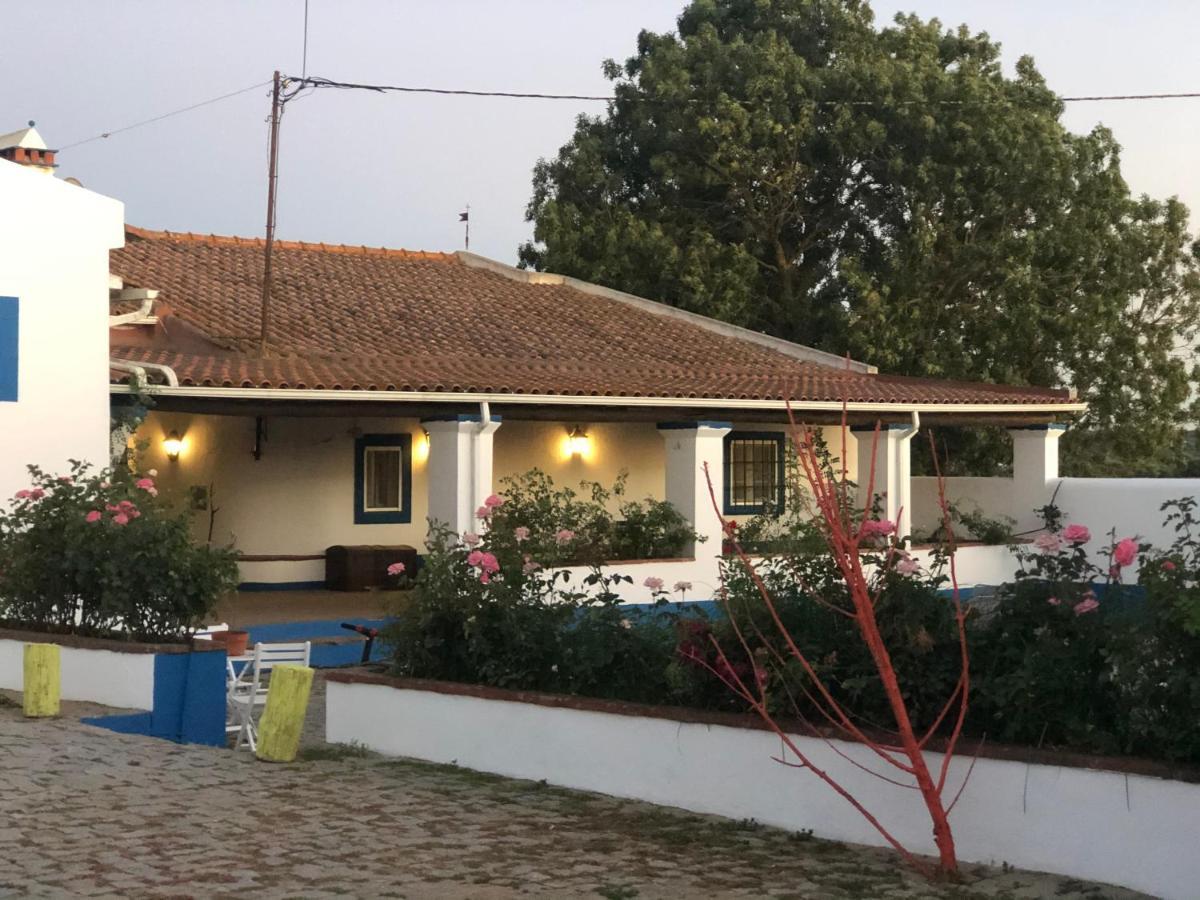 Oliveirinha Country House Évora Dış mekan fotoğraf