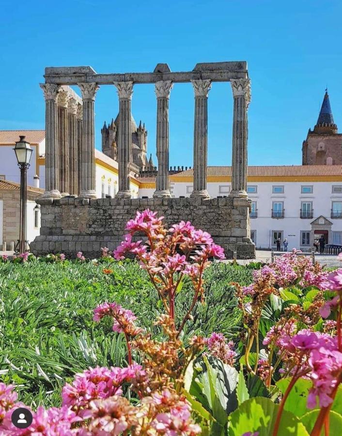 Oliveirinha Country House Évora Dış mekan fotoğraf