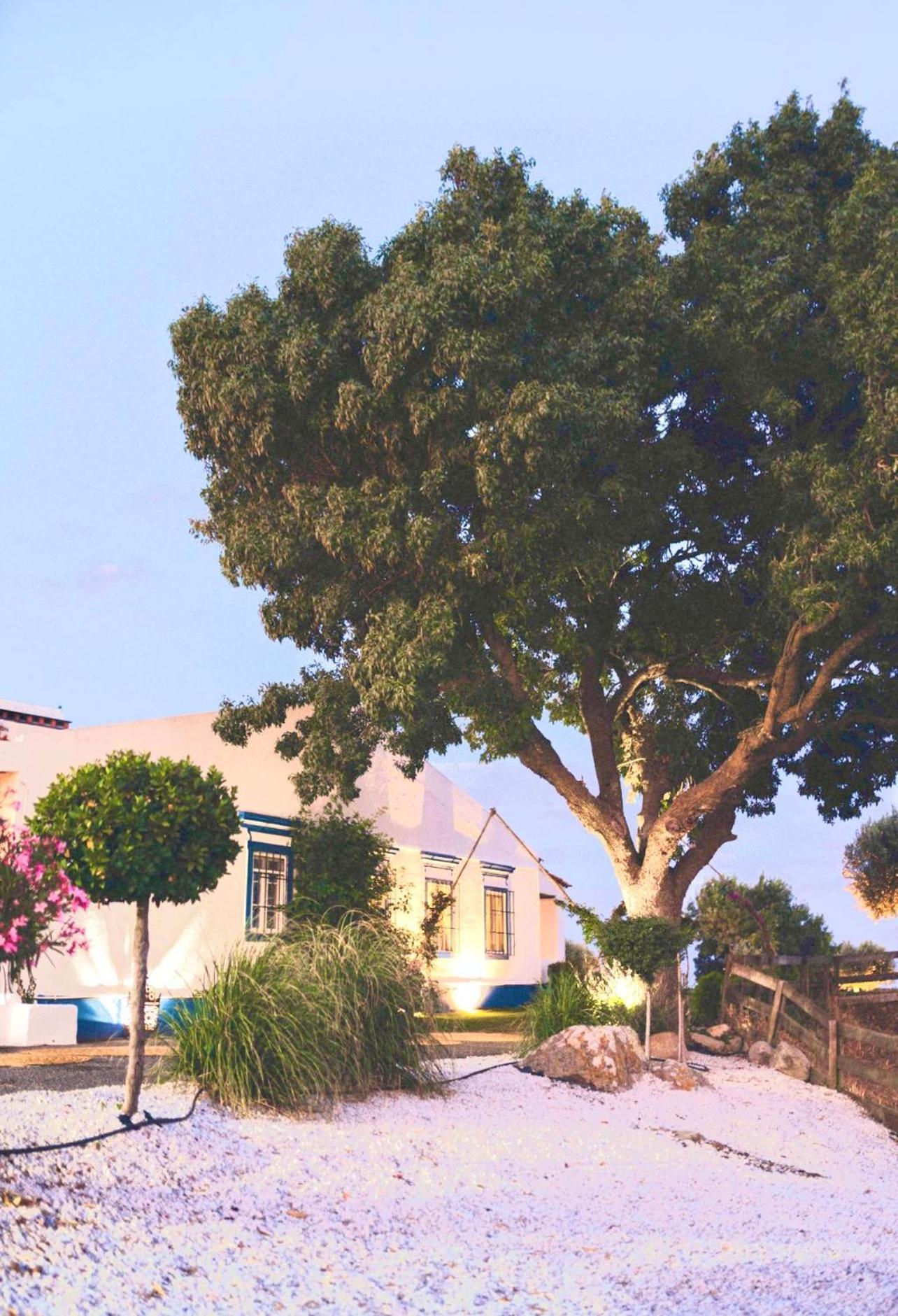 Oliveirinha Country House Évora Dış mekan fotoğraf